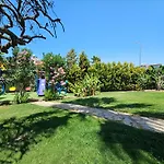 Palmiye Jakuzili Bahceli Havuzlu - Ocekhomes *