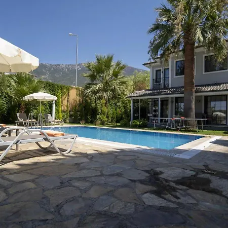 빌라 Palmiye Jakuzili Bahceli Havuzlu - Ocekhomes *