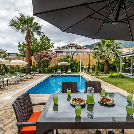 빌라 Palmiye Jakuzili Bahceli Havuzlu - Ocekhomes