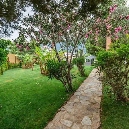 Palmiye Jakuzili Bahceli Havuzlu - Ocekhomes 빌라 페티예