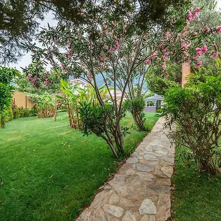 Palmiye Jakuzili Bahceli Havuzlu - Ocekhomes Fethiye